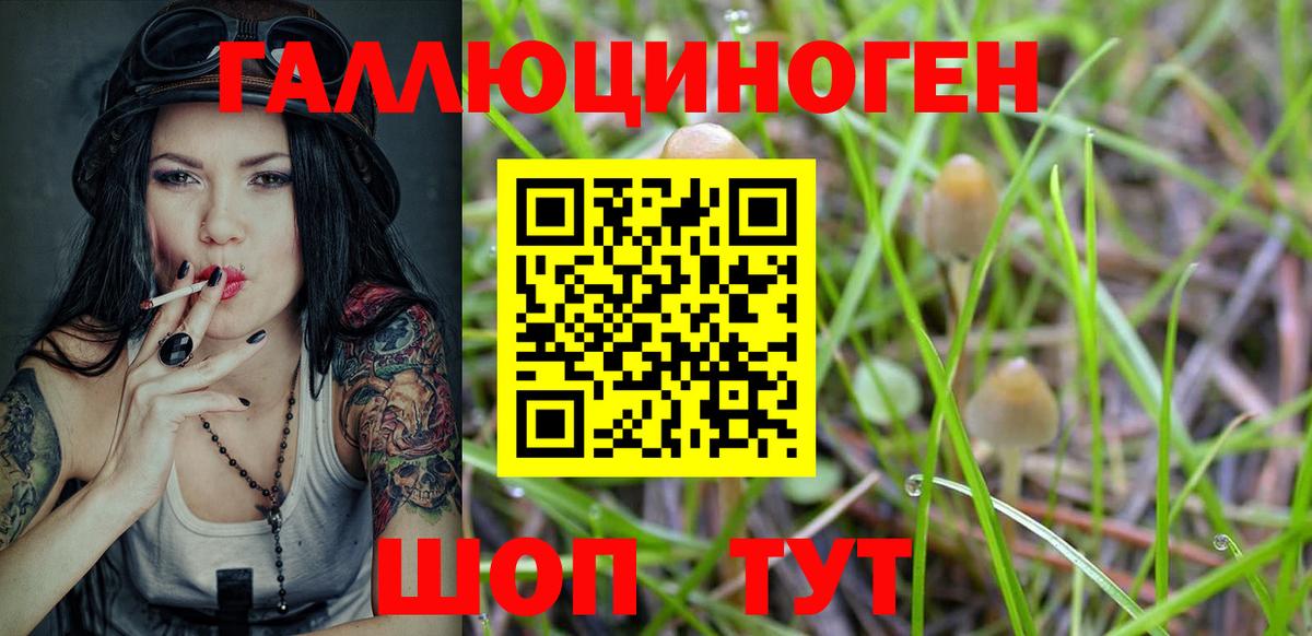 Псилоцибиновые грибы Psilocybine cubensis  Вход с VPN  Галлюциногенные грибы ЛСД  Златоуст 