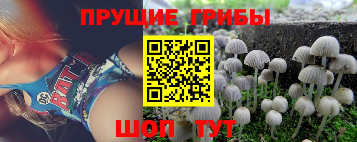Галлюциногенные грибы ЛСД Златоуст